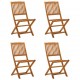 Sulankstomos sodo kėdės, 4vnt., eukalipto medienos masyvas