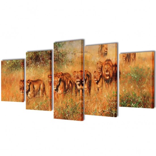Fotopaveikslas Liūtai ant Drobės 100 x 50 cm