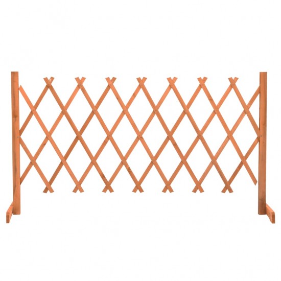 Sodo treliažas-tvora, oranžinis, 150x80cm, eglės masyvas