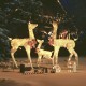 Kalėdinė dekoracija elnių šeima, auksinės spalvos, 201 LED