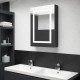 Veidrodinė vonios spintelė su LED, juoda, 50x13x70cm, blizgi