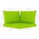 Keturvietė sodo sofa su šviesiai žalios spalvos pagalvėlėmis