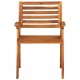 Sodo kėdės, 8vnt., akacijos medienos masyvas (310629+2x310630)