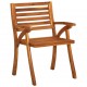 Sodo kėdės, 6vnt., akacijos medienos masyvas (2x310630)
