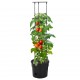 Vazonas pomidorų auginimui, 29,5x115cm, polipropilenas