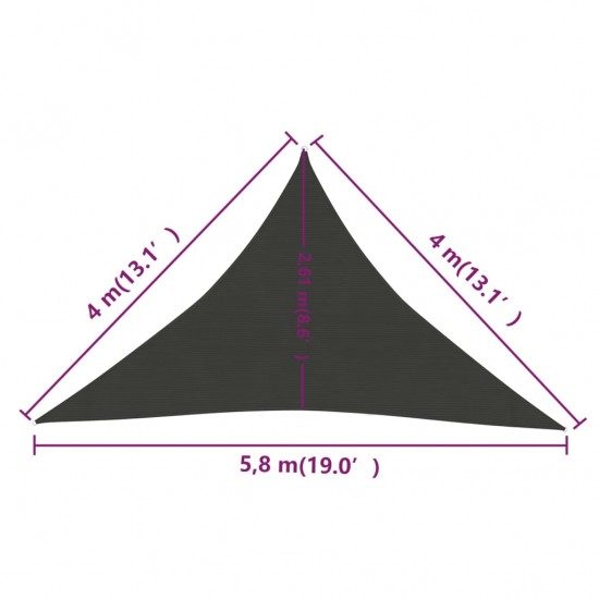 Uždanga nuo saulės, antracito spalvos, 4x4x5,8m, HDPE, 160g/m²