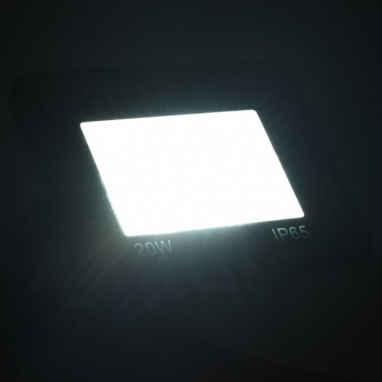 LED prožektorius, šaltos baltos spalvos, 20W