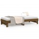 Ištraukiama lova, medaus ruda, 2x(100x200)cm, pušies masyvas