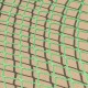ProPlus Tinklas priekabai, 2,00x3,00m, su elastine virve