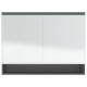Veidrodinė vonios spintelė, pilkos spalvos, 80x15x60cm, MDF