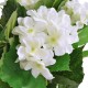 Dirbtinė hortenzija su vazonu, 60 cm, balta