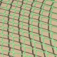 ProPlus Tinklas priekabai, 2,50x4,50m, su elastine virve