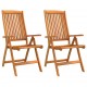 Sulankstomos sodo kėdės, 2vnt., eukalipto medienos masyvas