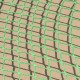 ProPlus Tinklas priekabai, 2,00x3,50m, su elastine virve