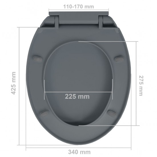 Klozeto sėdynė su soft-close mechanizmu, pilkos spalvos, ovali