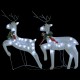Kalėdų dekoracija elniai ir rogės, baltos spalvos, 100 LED
