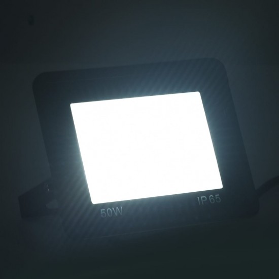LED prožektoriai, 2vnt., šaltos baltos spalvos, 50W