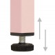 Persirengimo spintelė, rožinė, 35x46x180cm, plienas