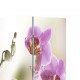 Kamb. pertvara, sulankst., 217x170 cm, gėlės paveikslėlis