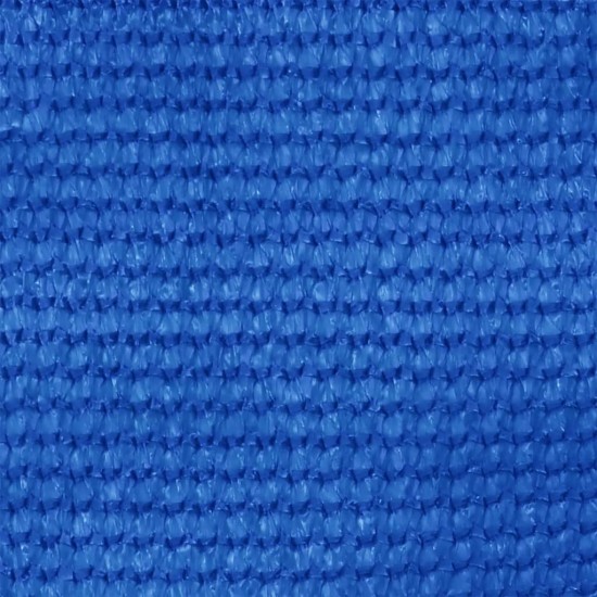 Palapinės kilimėlis, mėlynos spalvos, 250x300cm