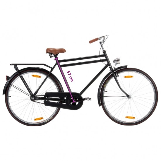 Olandiškas dviratis, moteriškas, 28