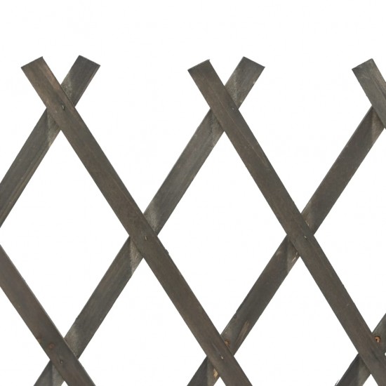Sodo treliažas-tvora, pilkos spalvos, 120x90cm, eglės masyvas