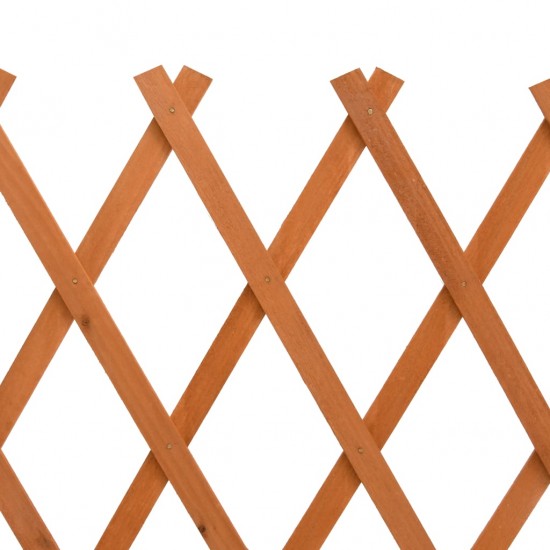 Sodo treliažas-tvora, oranžinis, 150x80cm, eglės masyvas