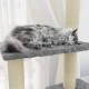 Draskyklė katėms su stovais iš sizalio, šviesiai pilka, 155cm