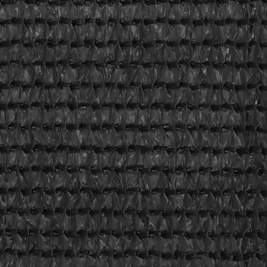 Palapinės kilimėlis, antracito spalvos, 250x550cm