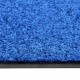 Durų kilimėlis, mėlynos spalvos, 40x60cm, plaunamas