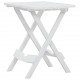 Sulankstomas sodo staliukas, baltos spalvos, 45,5x38,5x50cm