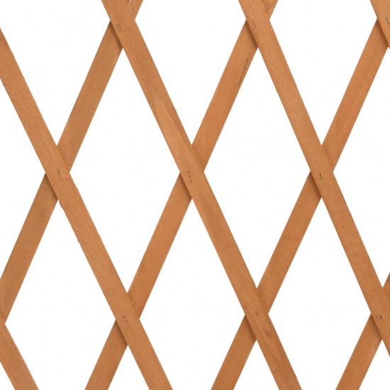 Sodo treliažas-tvora, oranžinis, 180x100cm, eglės masyvas