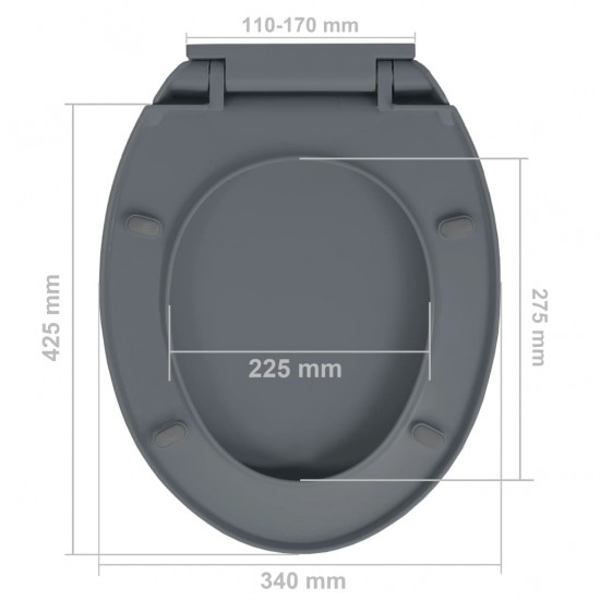 Klozeto sėdynė su soft-close mechanizmu, pilka, ovali