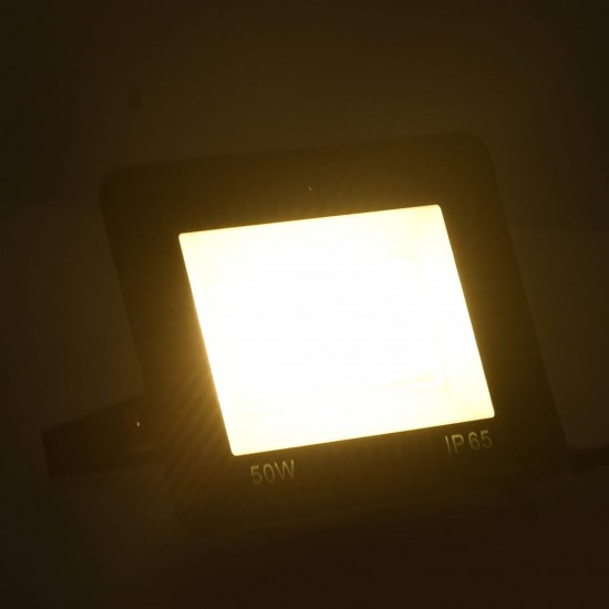 LED prožektorius, šiltos baltos spalvos, 50W