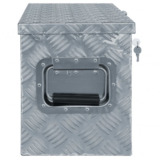 Aliuminio dėžė, 61,5x26,5x30cm, sidabrinė