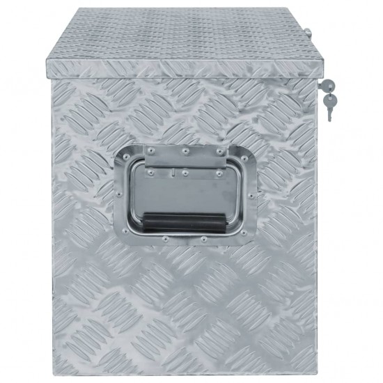 Aliuminio dėžė, 90,5x35x40cm, sidabrinė