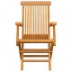 Sulankstomos sodo kėdės, 6vnt., tikmedžio medienos masyvas