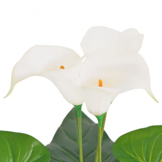 Dirbtinė abisininė kalija su vazonu, 85 cm, balta