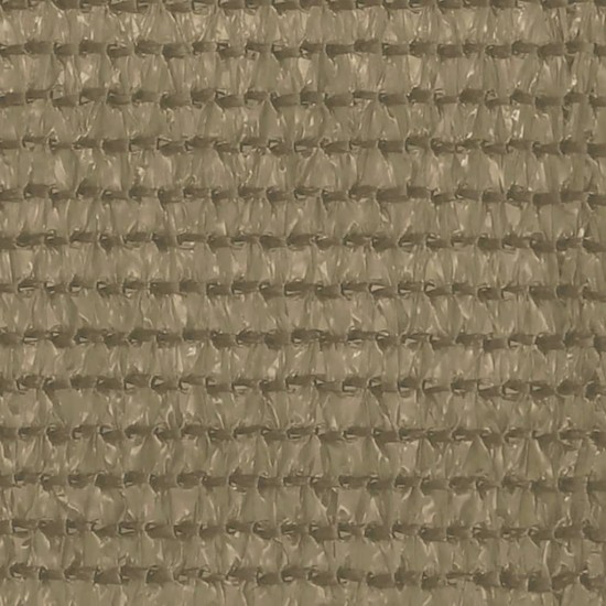 Palapinės kilimėlis, taupe spalvos, 200x300cm