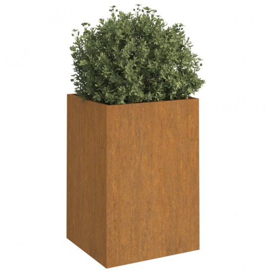 Lovelis, 52x48x75cm, Corten plienas