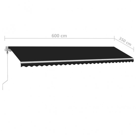 Automatinė markizė su LED/vėjo jutikliu, antracito, 600x350cm