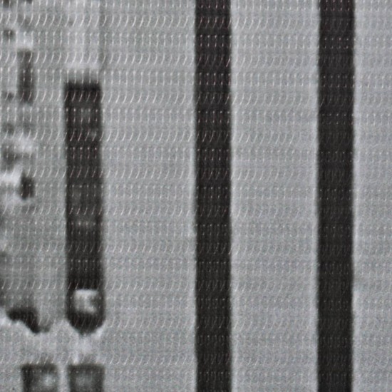Kambario pertvara, 200x170 cm, Niujorkas dieną, juoda ir balta