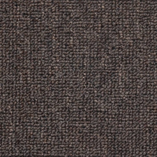 Laiptų kilimėliai, 10vnt., kavos rudos spalvos, 65x24x4cm