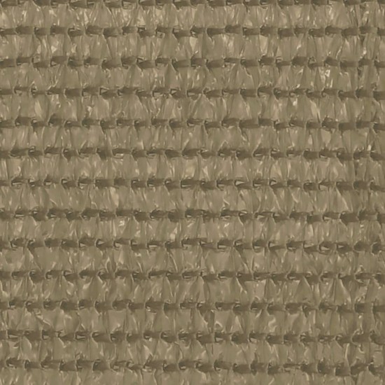 Palapinės kilimėlis, taupe spalvos, 250x350cm