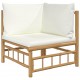 Kampinės sodo sofos dalys su pagalvėlėmis, 2vnt., bambukas