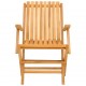 Sulankstomos sodo kėdės, 2vnt., 61x67x90cm, tikmedžio masyvas