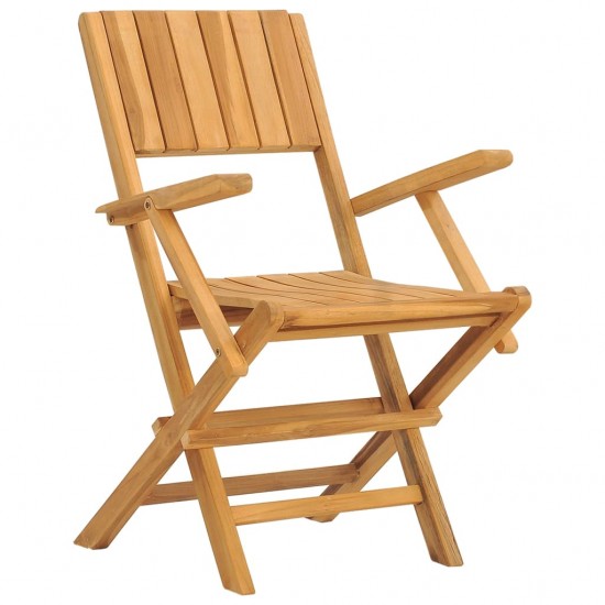 Sulankstomos sodo kėdės, 2vnt., 55x61x90cm, tikmedžio masyvas