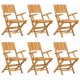 Sulankstomos sodo kėdės, 6vnt., 55x61x90cm, tikmedžio masyvas