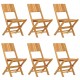 Sulankstomos sodo kėdės, 6vnt., 47x61x90cm, tikmedžio masyvas