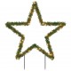 Kalėdinė šviečianti dekoracija žvaigždė, 80LED, 60cm